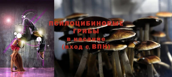 ГАЛЛЮЦИНОГЕННЫЕ ГРИБЫ Володарск