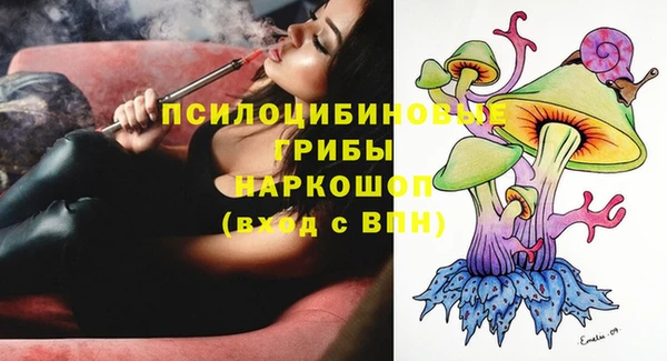 ГАЛЛЮЦИНОГЕННЫЕ ГРИБЫ Володарск