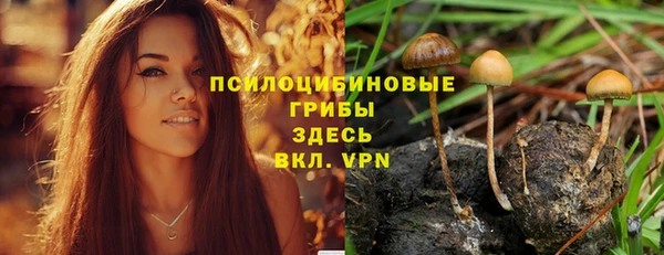ГАЛЛЮЦИНОГЕННЫЕ ГРИБЫ Володарск