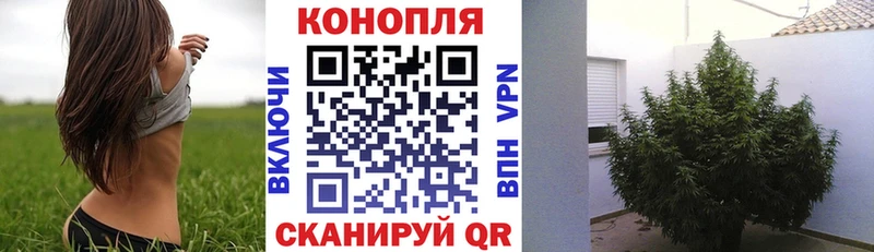 Марихуана Bruce Banner  Эртиль 